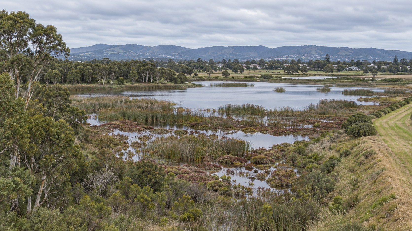 Coastal wetland with reed beds, paperbark margins and paddocks beyond