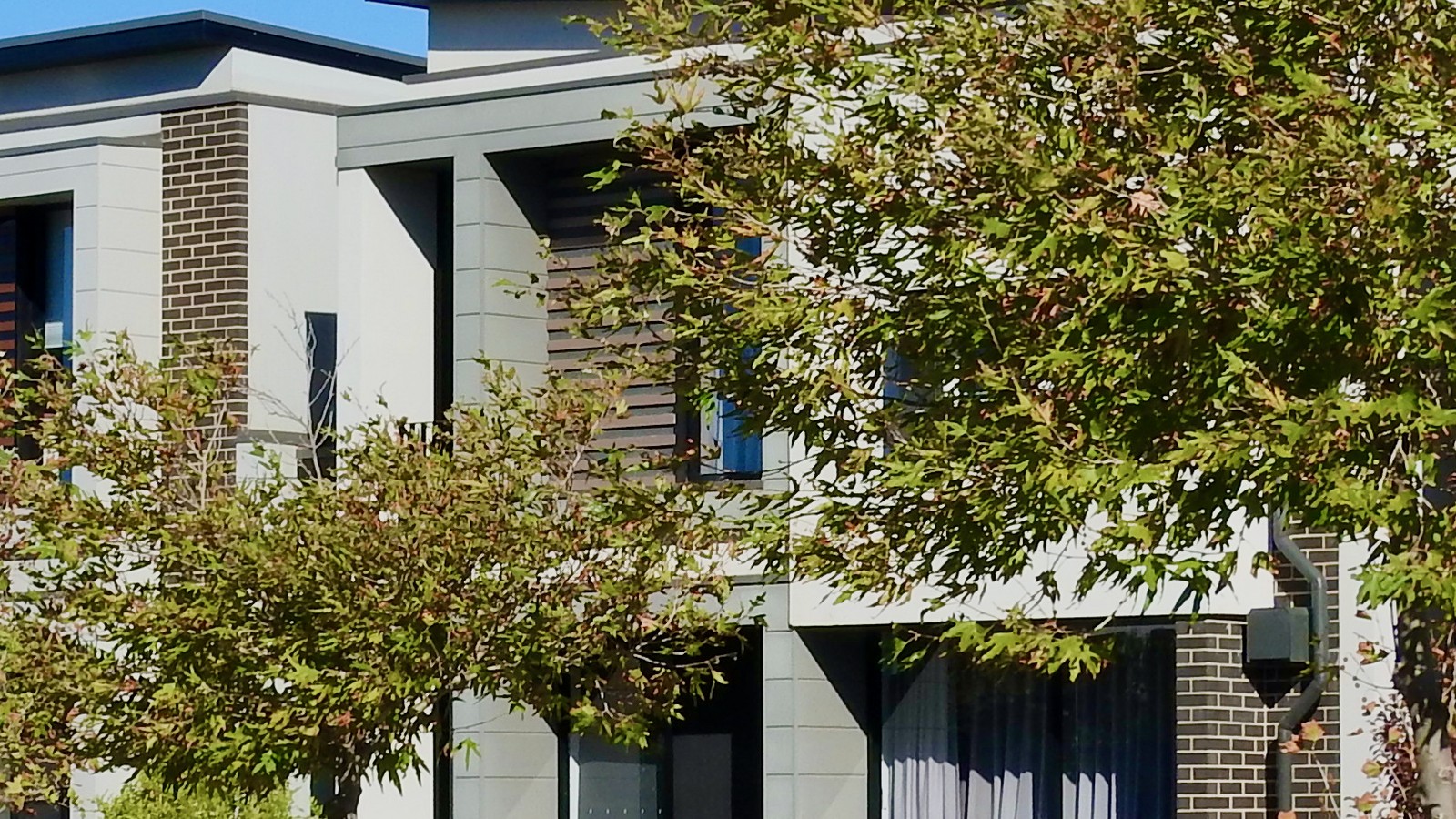 Contemporary attached residential building