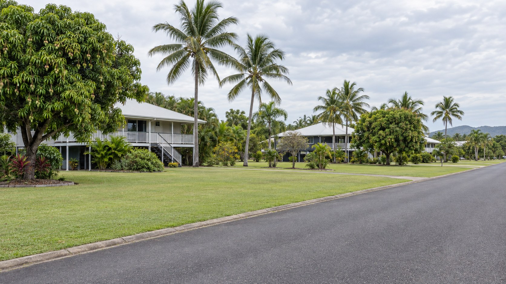 Tropical suburban street with palms and elevated houses on large blocks