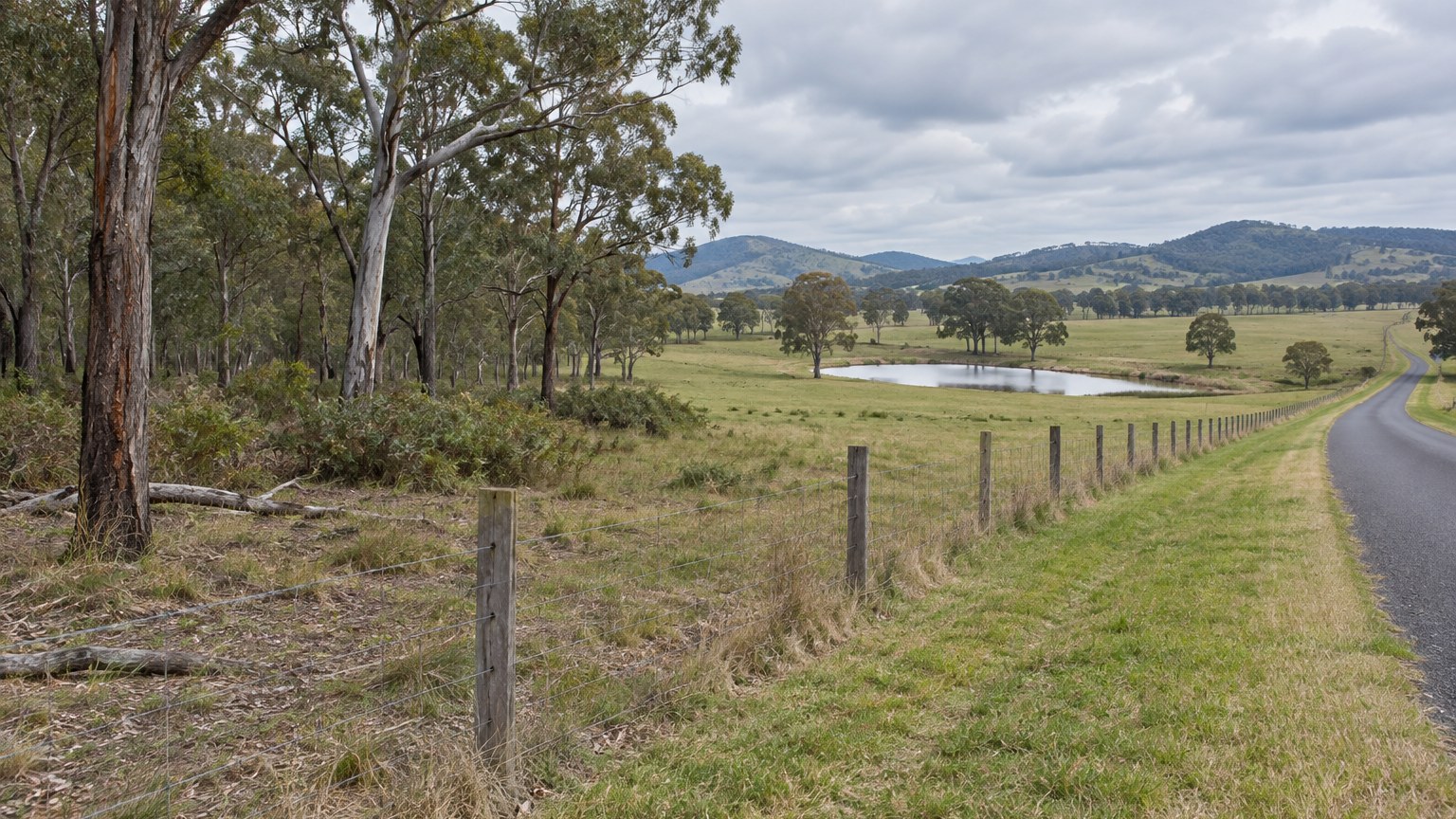 Farm fence dividing remnant woodland from open pasture beside a rural road