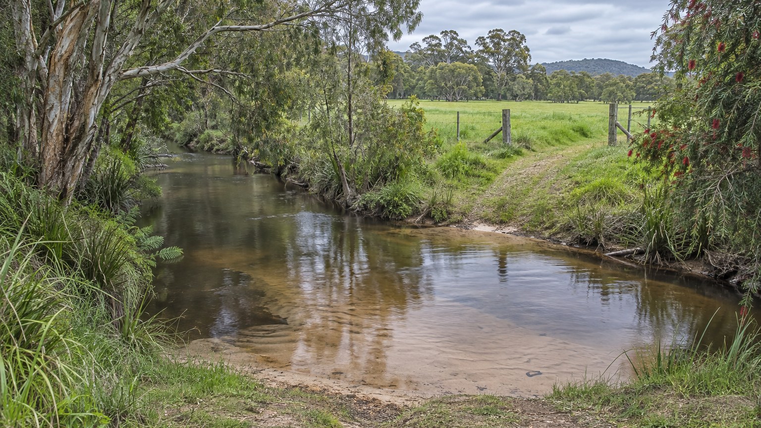 Narrow creek crossing rural land with paperbark along the banks