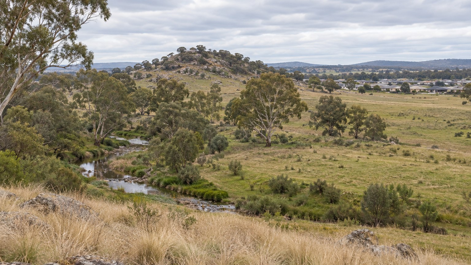 Open rural land with creek line and eucalypts near a regional town
